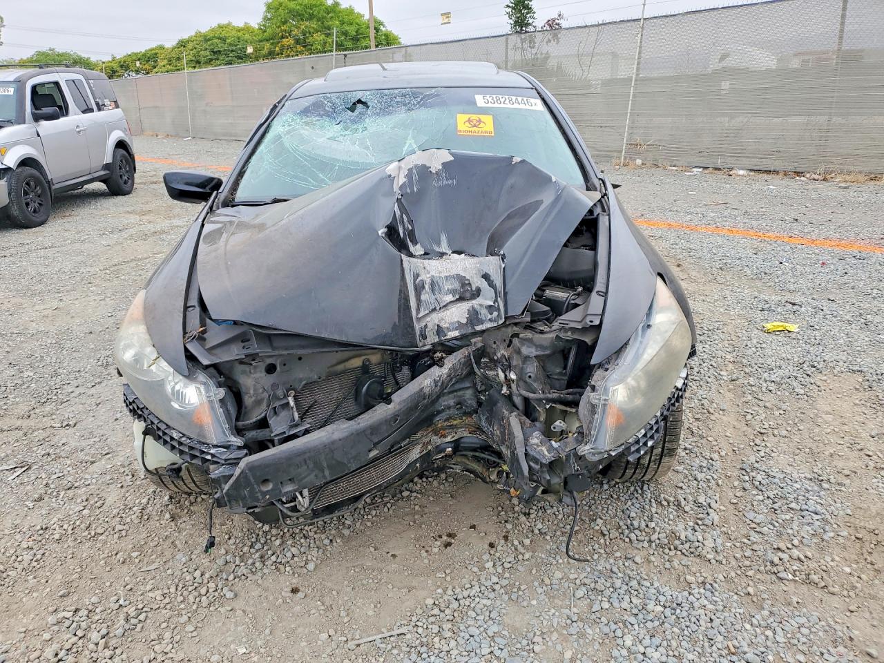 2011 Honda Accord Exl Black vin: 1HGCP3F88BA029686