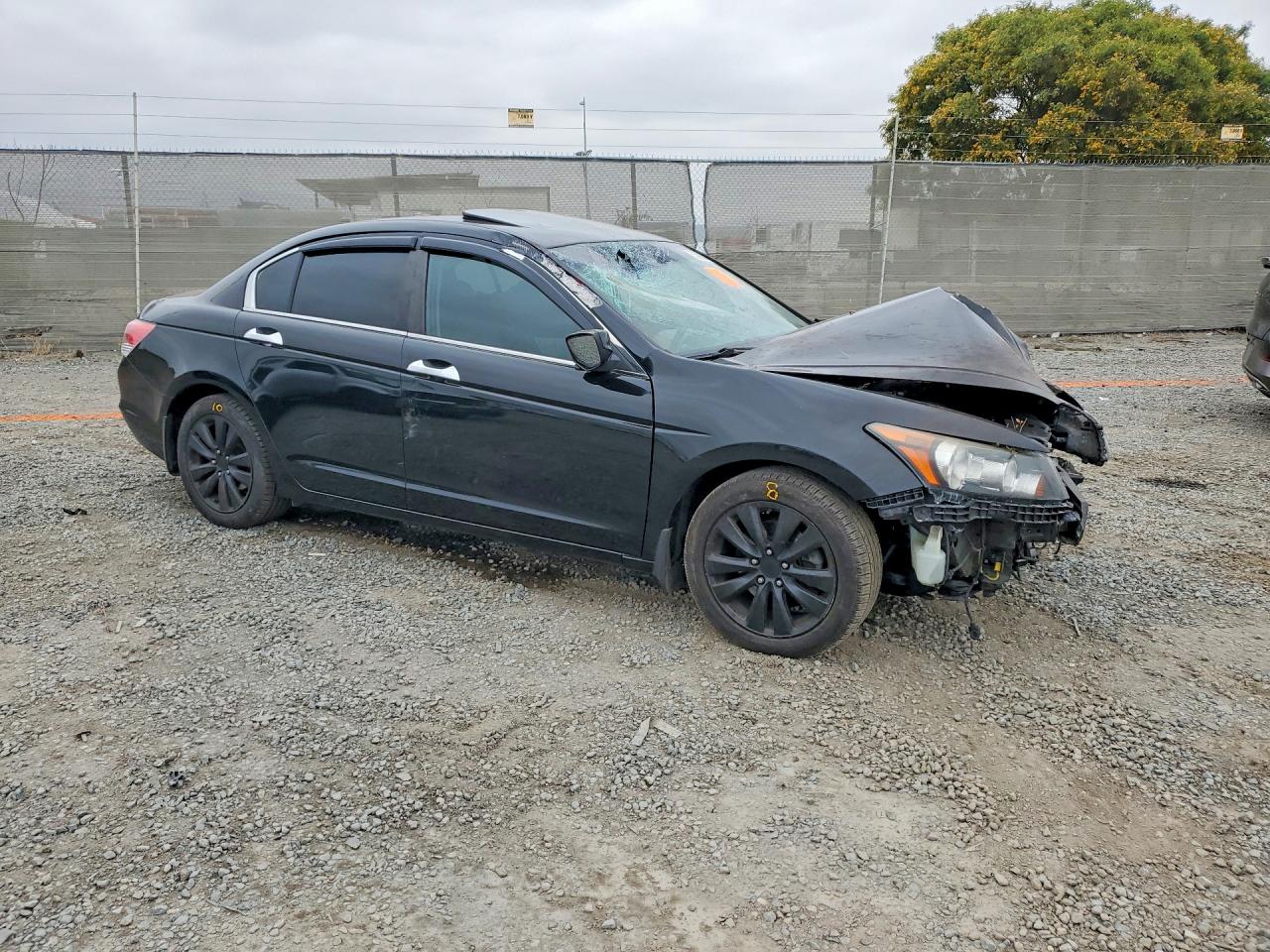 2011 Honda Accord Exl Black vin: 1HGCP3F88BA029686