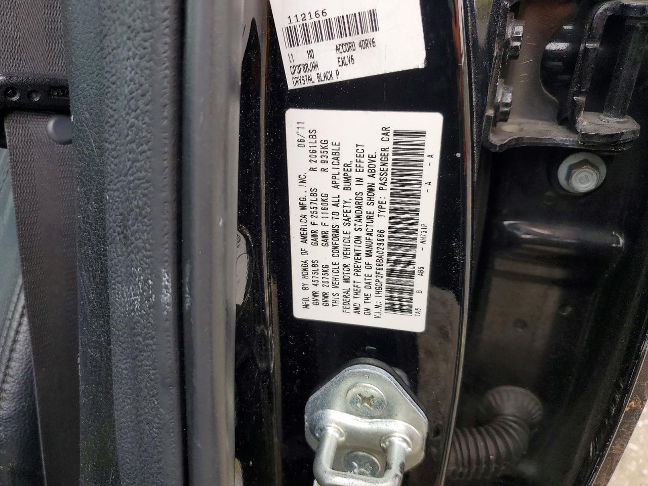 2011 Honda Accord Exl Black vin: 1HGCP3F88BA029686