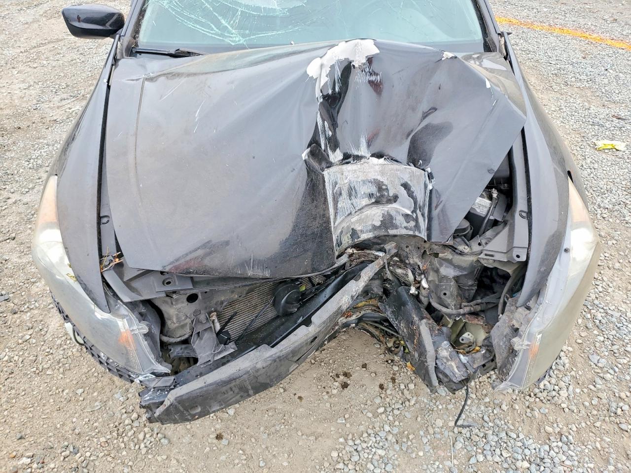 2011 Honda Accord Exl Black vin: 1HGCP3F88BA029686