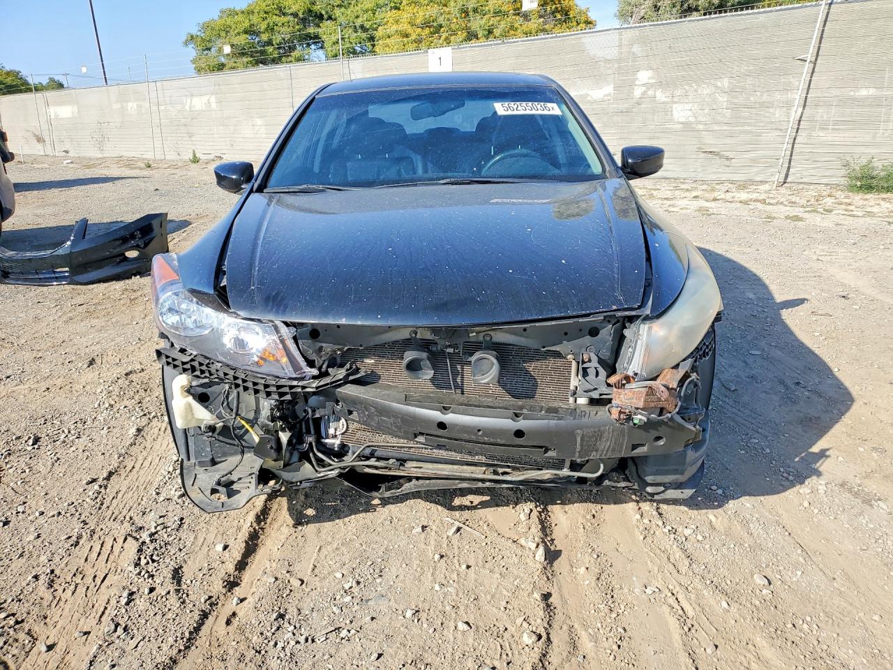2012 Honda Accord Exl Черный vin: 1HGCP3F88CA024215