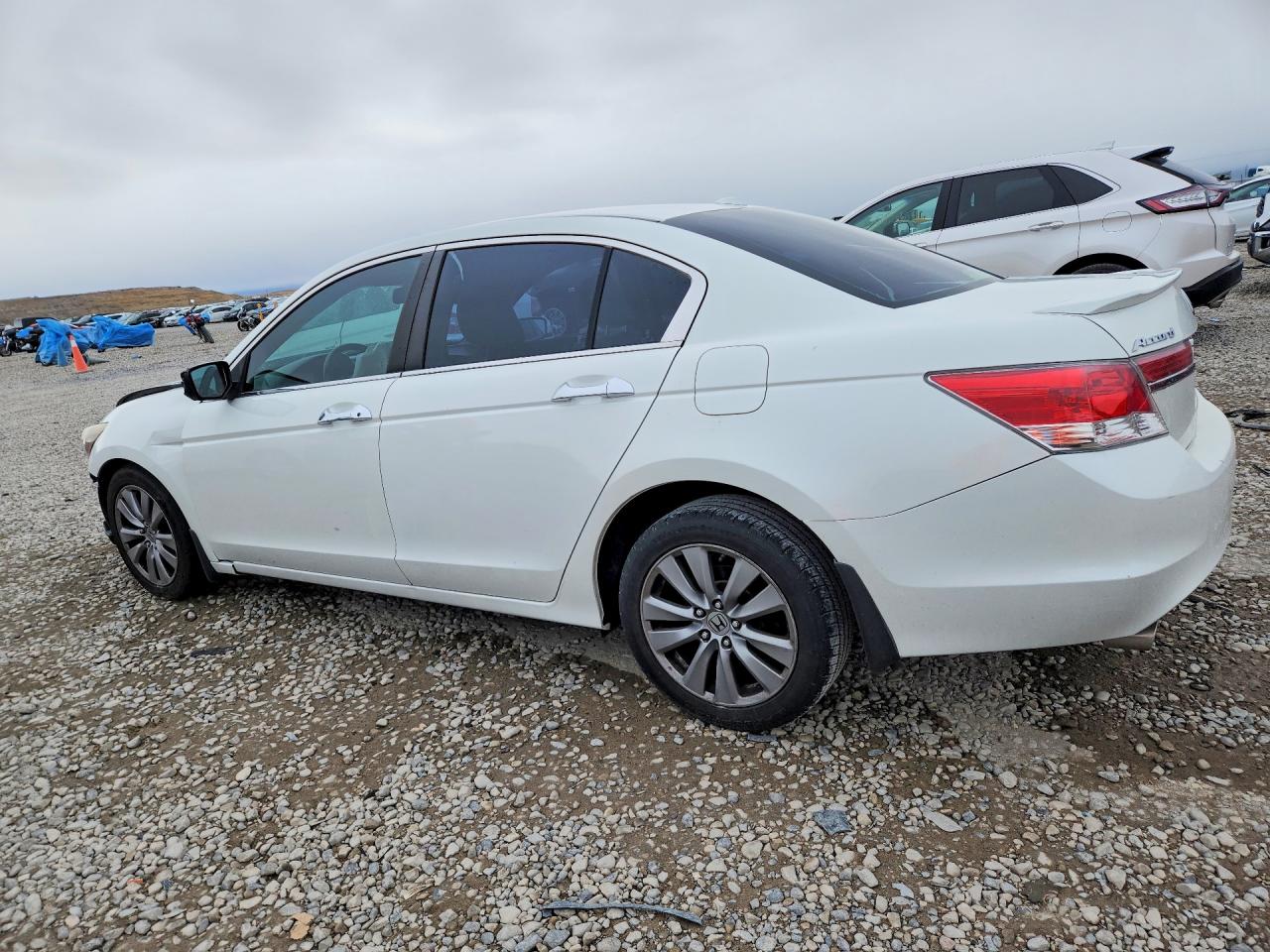 2012 Honda Accord Exl Белый vin: 1HGCP3F88CA029723