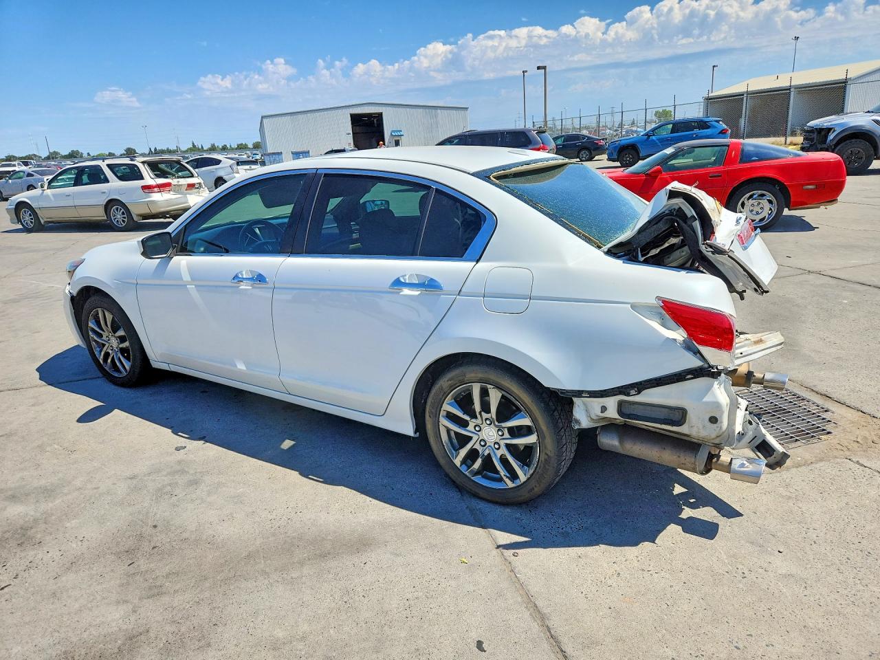 2012 Honda Accord Exl White vin: 1HGCP3F88CA041323