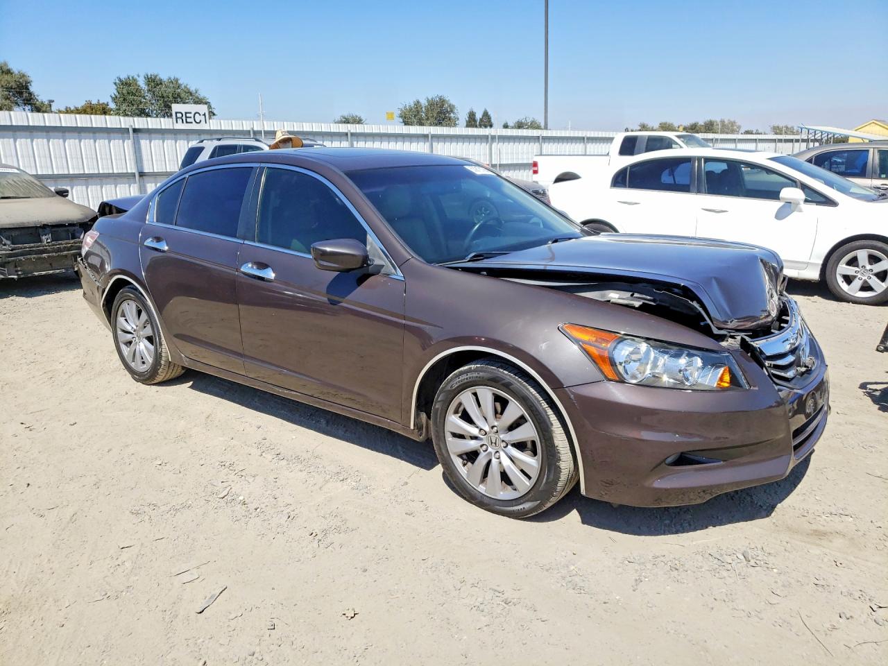 2011 Honda Accord Exl Коричневый vin: 1HGCP3F89BA003842