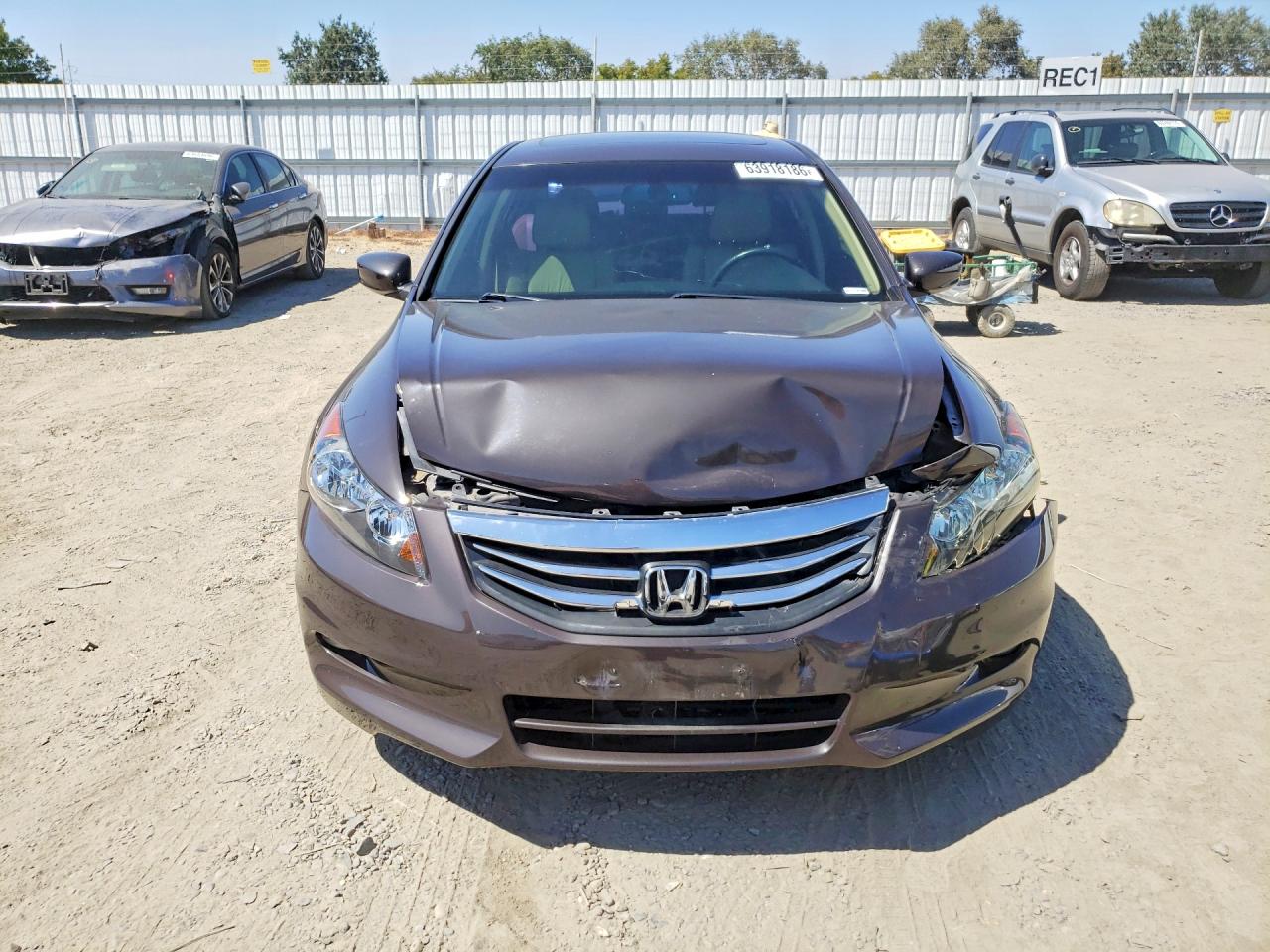 2011 Honda Accord Exl Коричневый vin: 1HGCP3F89BA003842