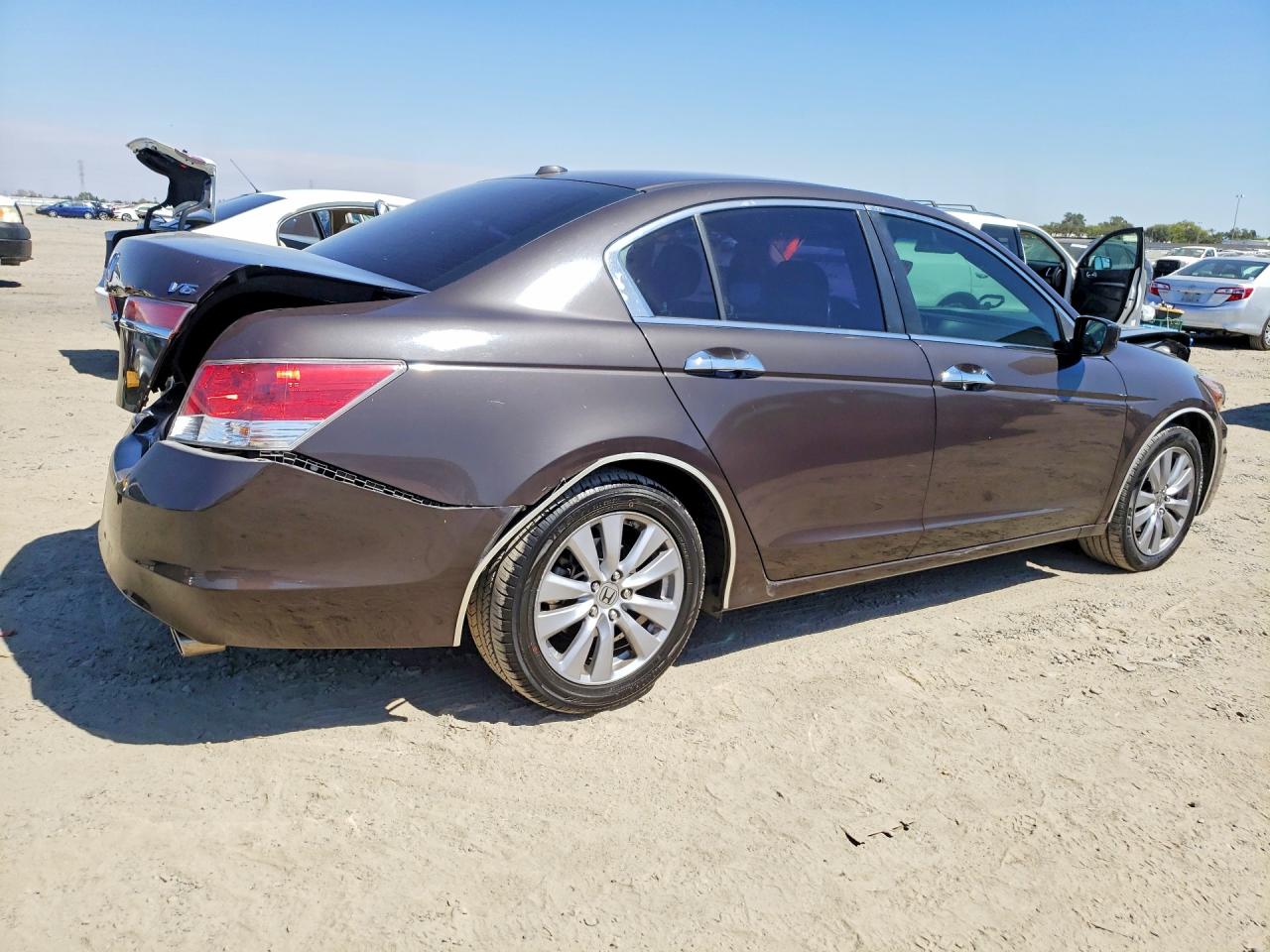 2011 Honda Accord Exl Коричневый vin: 1HGCP3F89BA003842