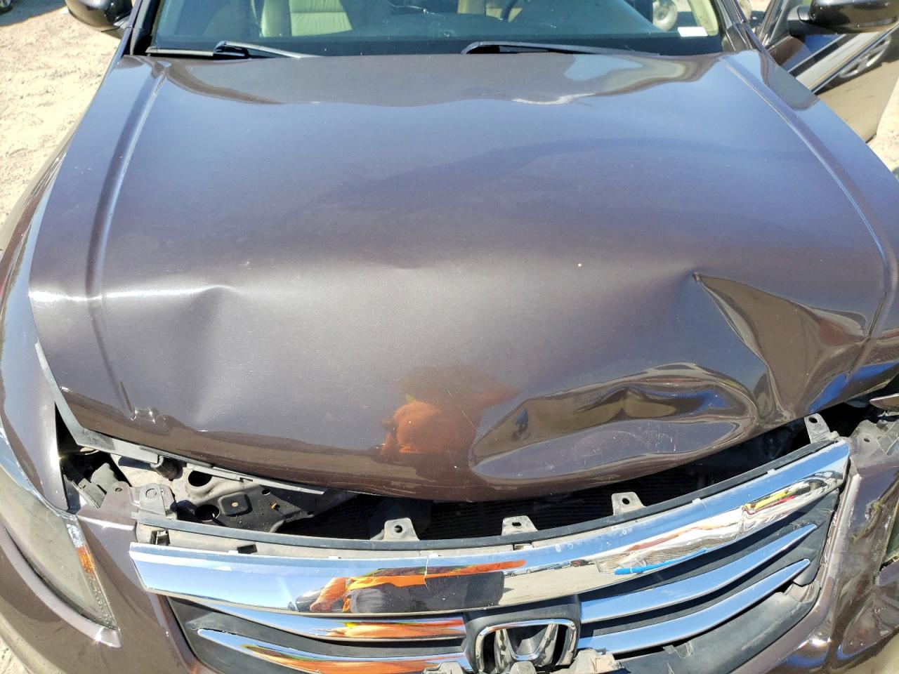 2011 Honda Accord Exl Коричневый vin: 1HGCP3F89BA003842