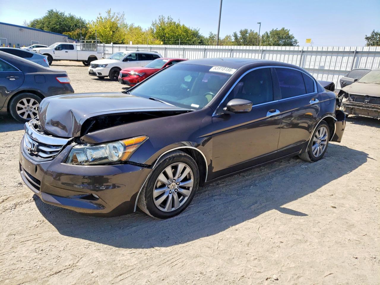 2011 Honda Accord Exl Brown vin: 1HGCP3F89BA003842