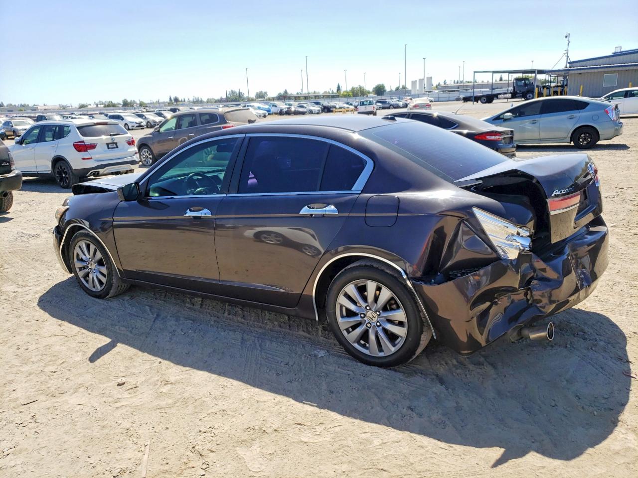 2011 Honda Accord Exl Коричневый vin: 1HGCP3F89BA003842