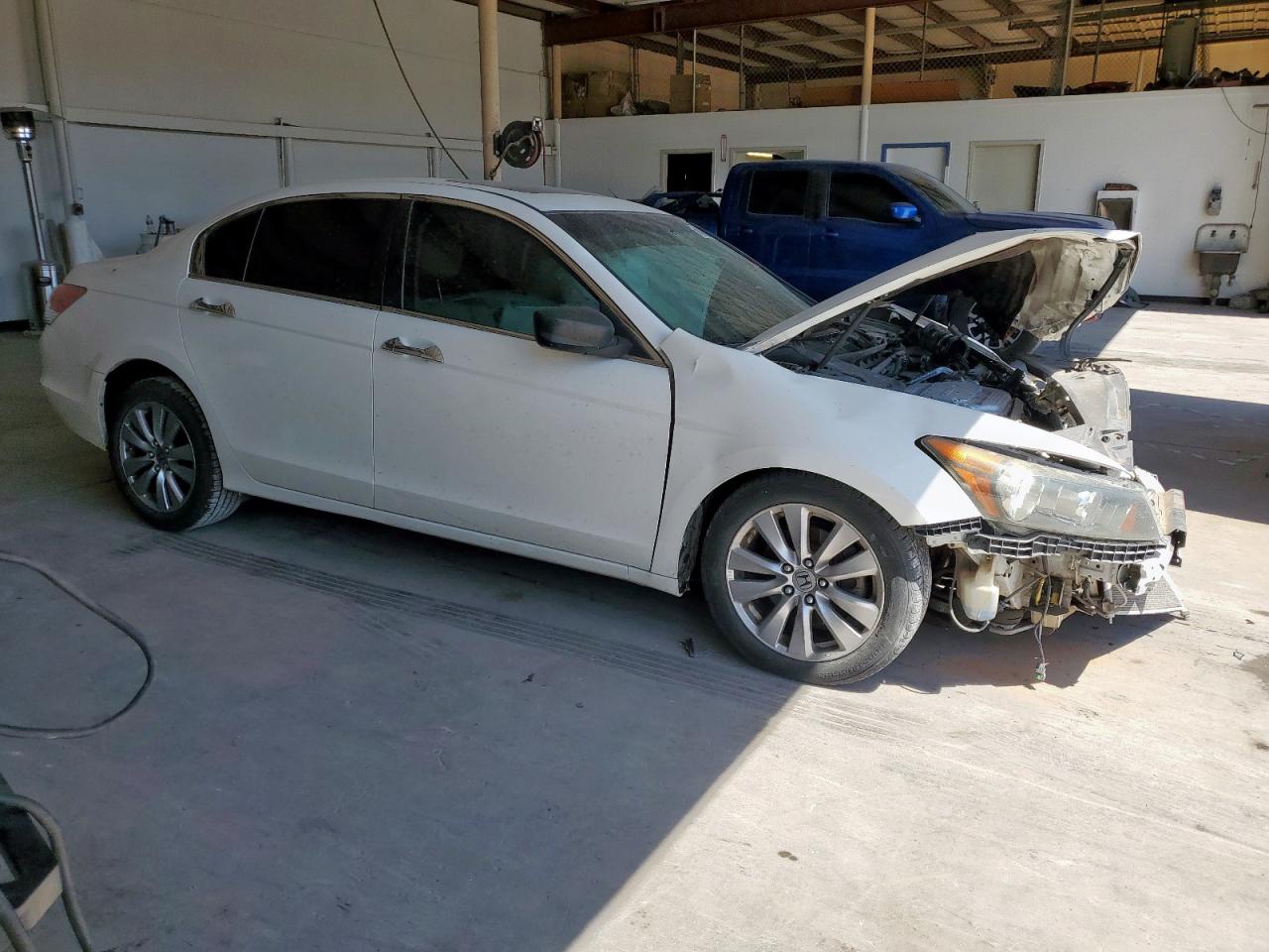 2012 Honda Accord Exl Белый vin: 1HGCP3F89CA015507