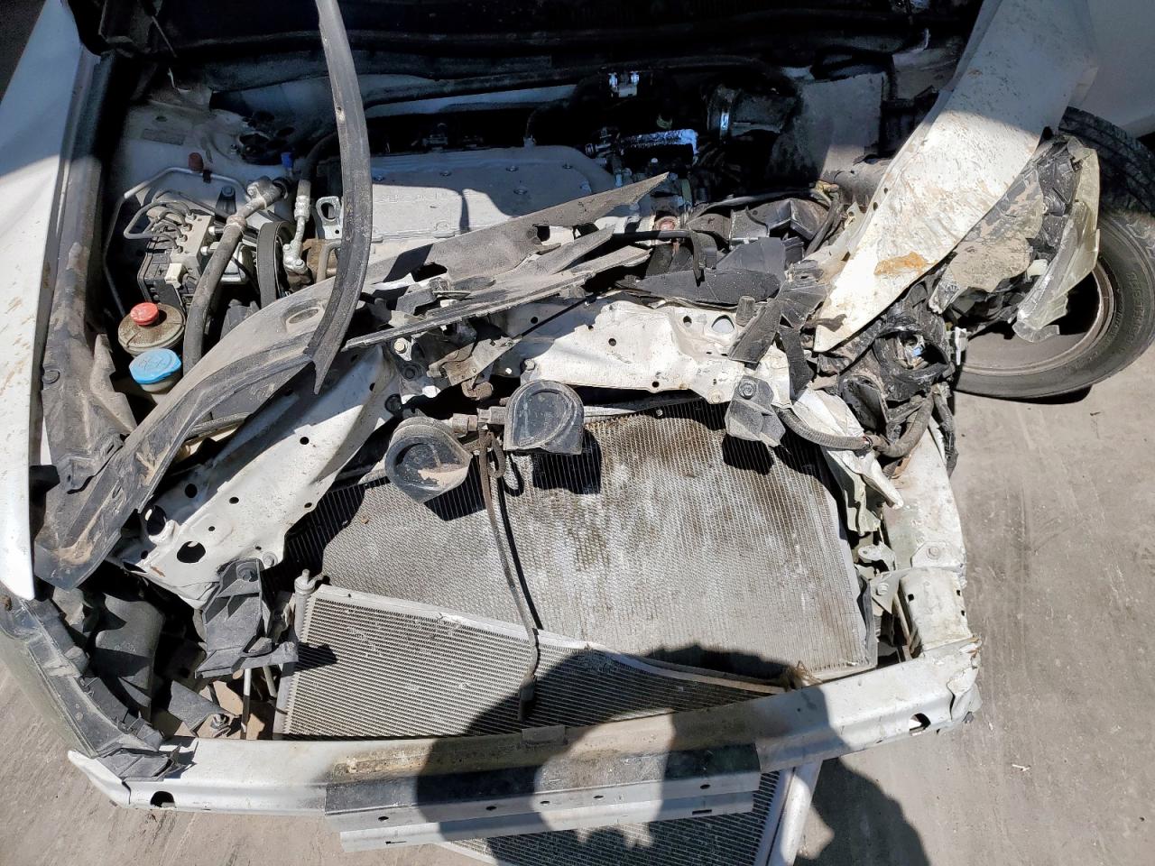 2012 Honda Accord Exl Белый vin: 1HGCP3F89CA015507