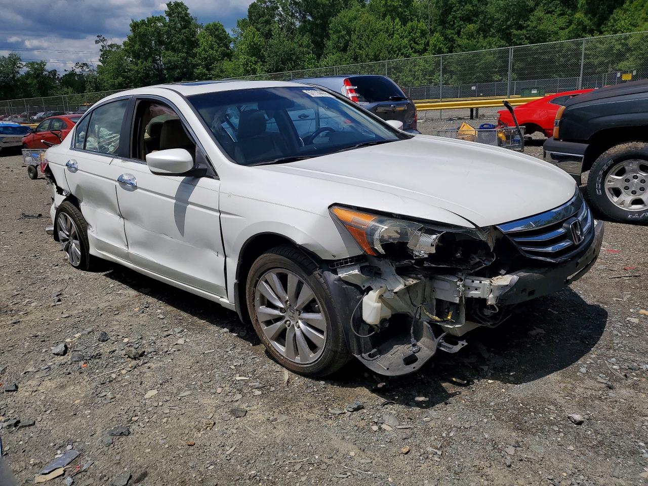2012 Honda Accord Exl Белый vin: 1HGCP3F89CA017418