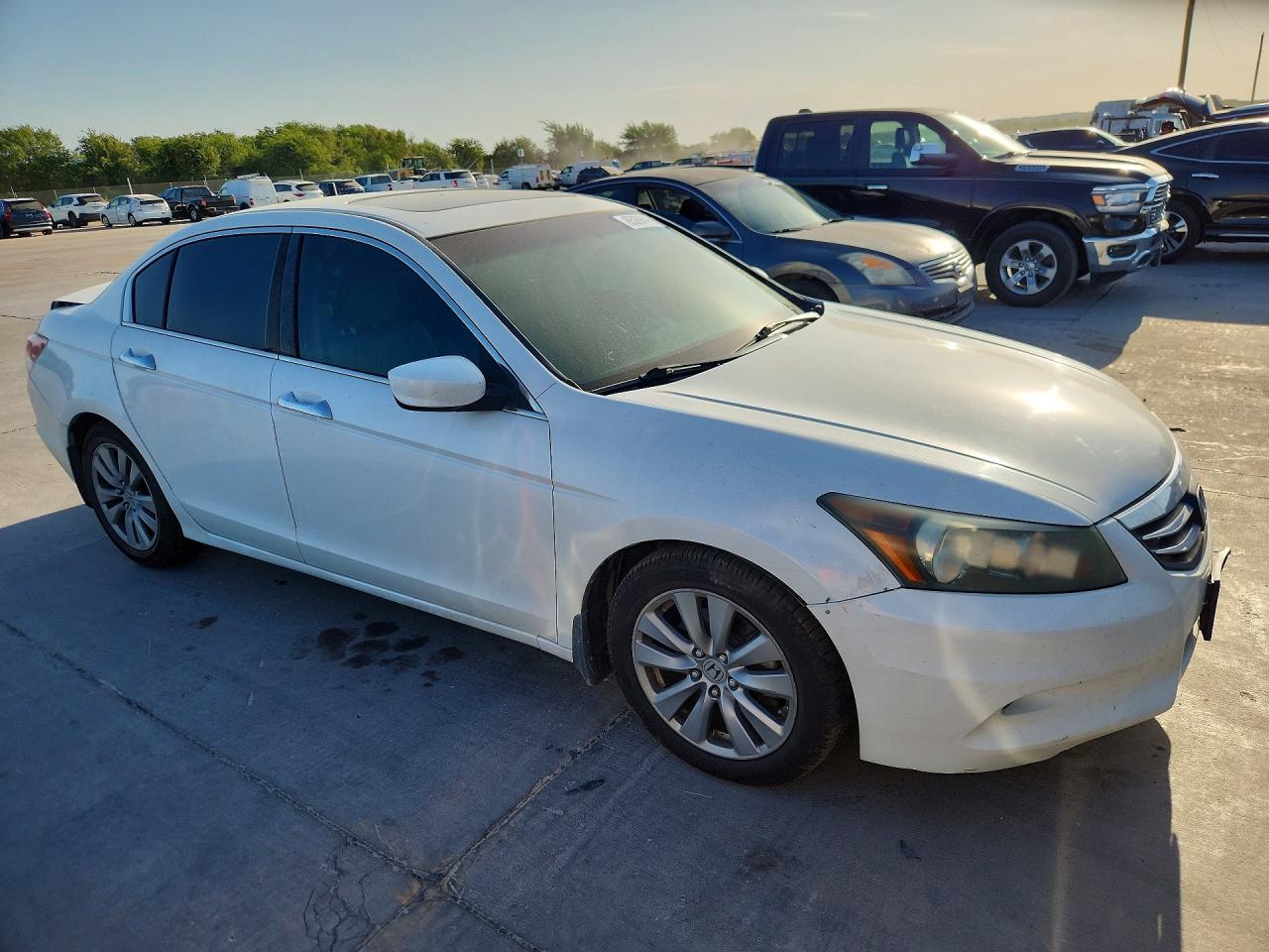 2012 Honda Accord Exl White vin: 1HGCP3F89CA028659