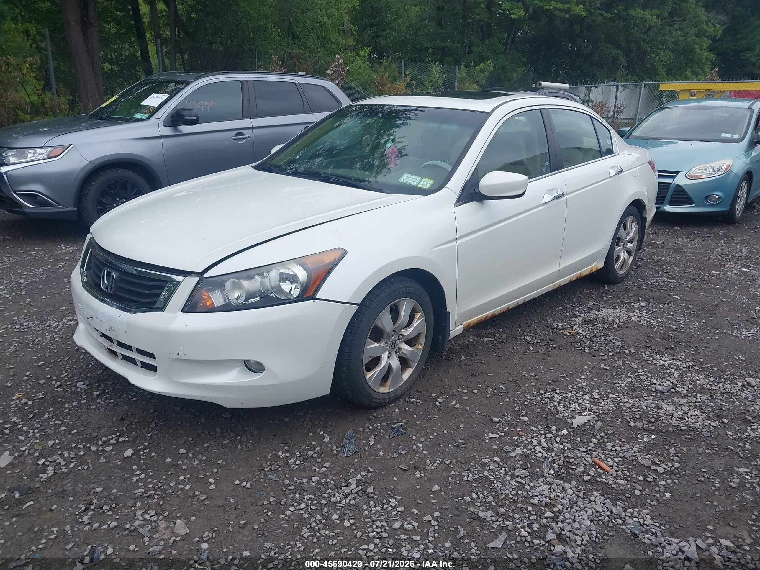2010 Honda Accord 3.5 Ex-l Белый vin: 1HGCP3F8XAA001046