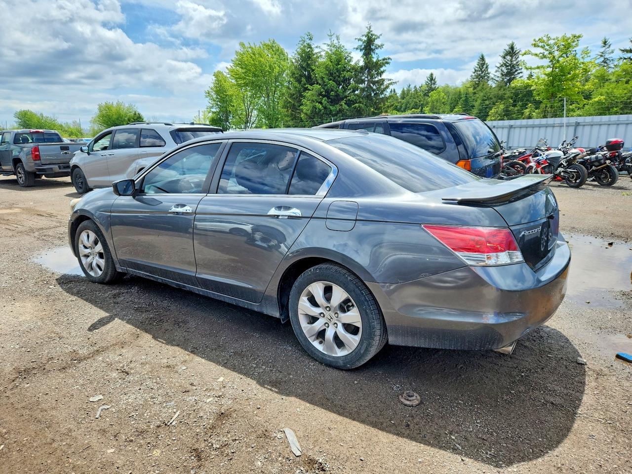 2010 Honda Accord Exl Gray vin: 1HGCP3F8XAA004822