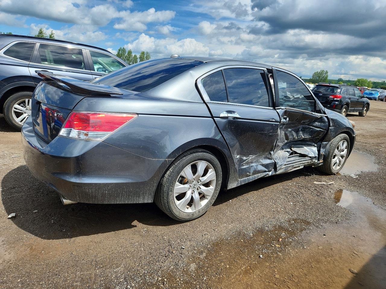 2010 Honda Accord Exl Gray vin: 1HGCP3F8XAA004822
