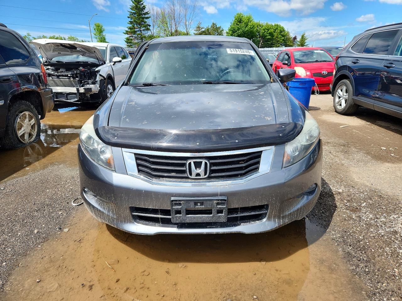 2010 Honda Accord Exl Gray vin: 1HGCP3F8XAA004822