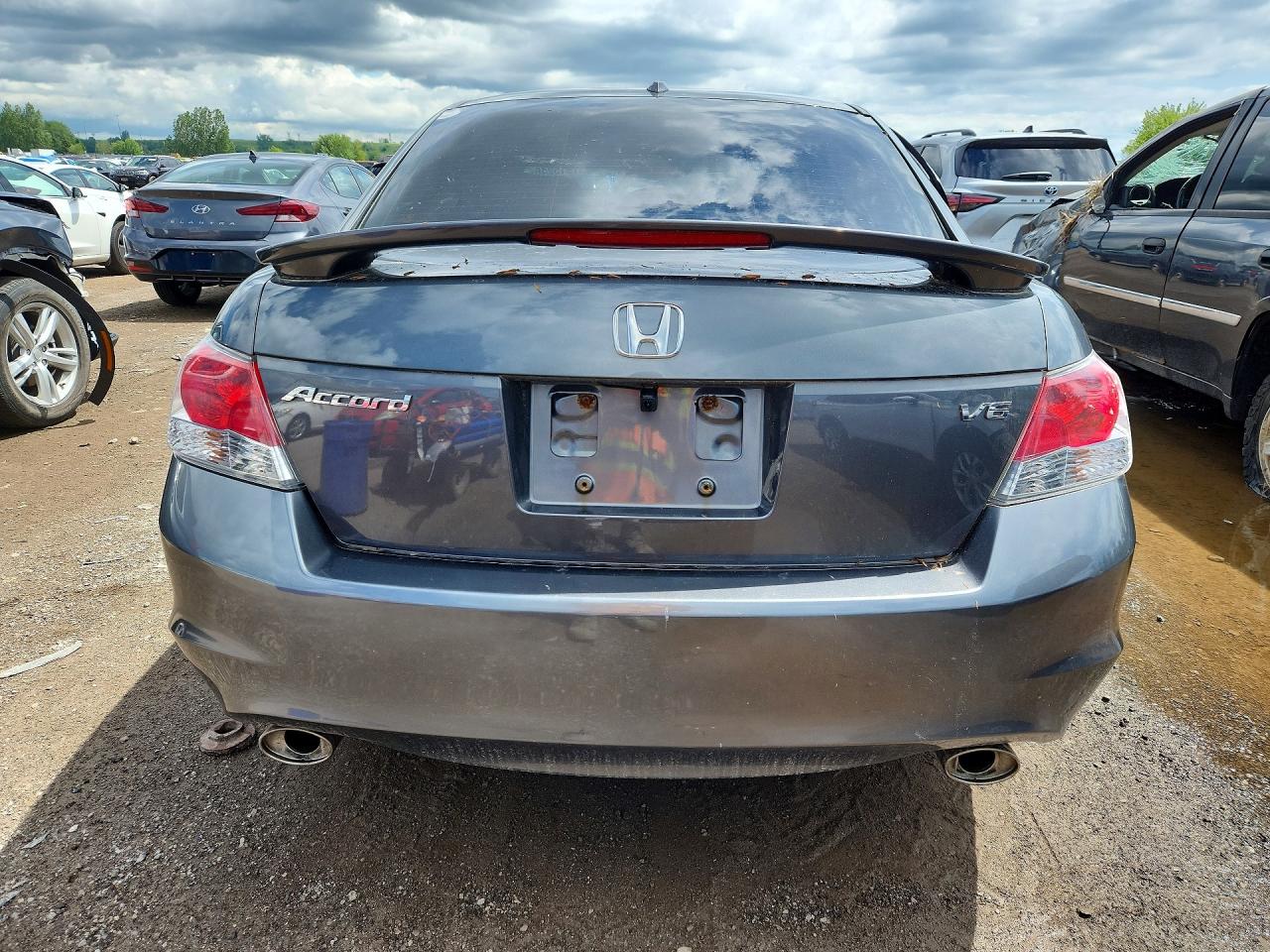 2010 Honda Accord Exl Gray vin: 1HGCP3F8XAA004822