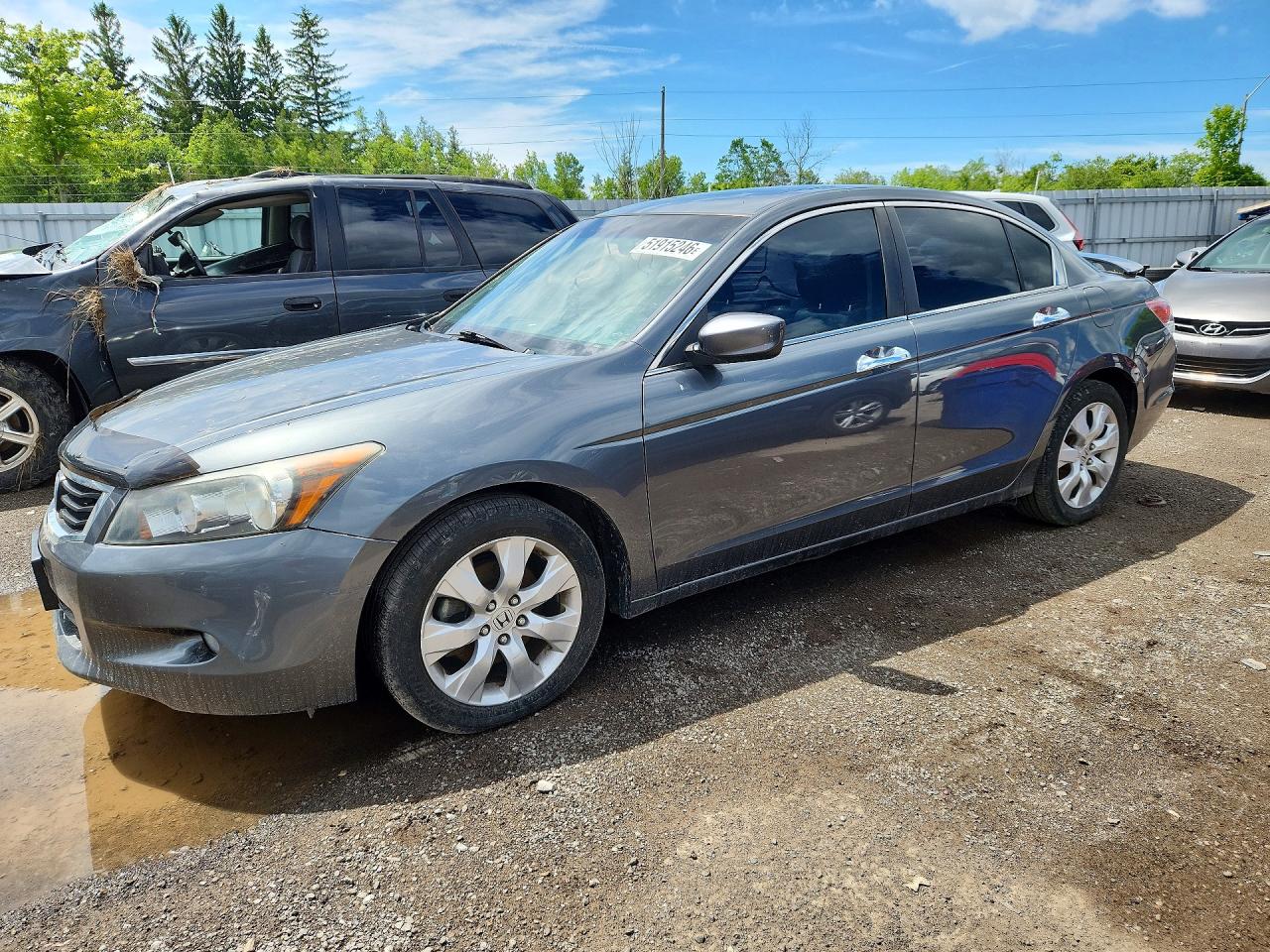 2010 Honda Accord Exl Gray vin: 1HGCP3F8XAA004822