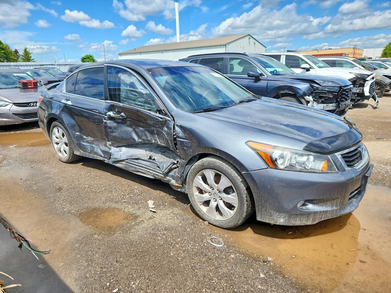 2010 Honda Accord Exl Gray vin: 1HGCP3F8XAA004822