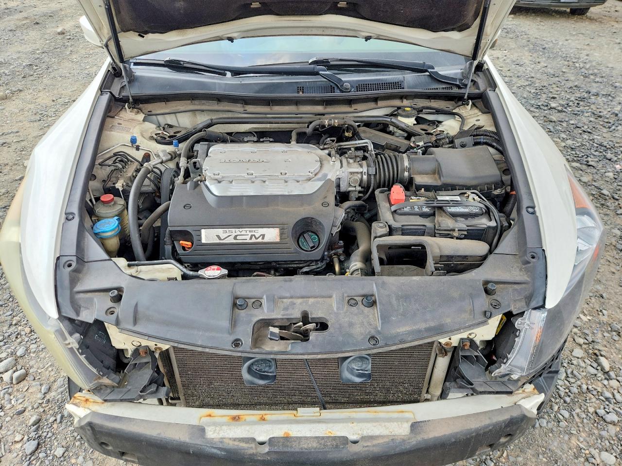2010 Honda Accord Exl White vin: 1HGCP3F8XAA024228