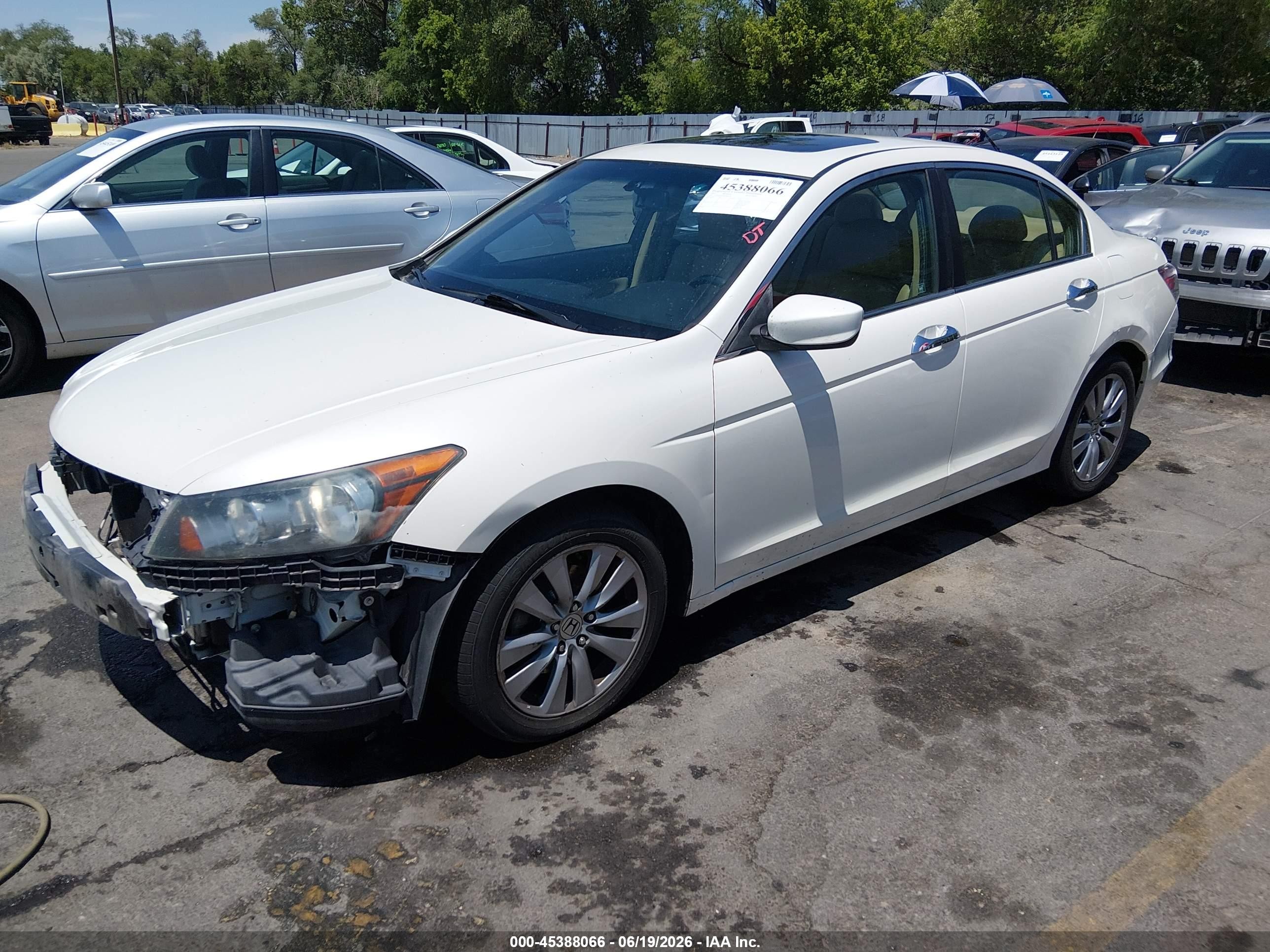 2011 Honda Accord 3.5 Ex-l White vin: 1HGCP3F8XBA001324