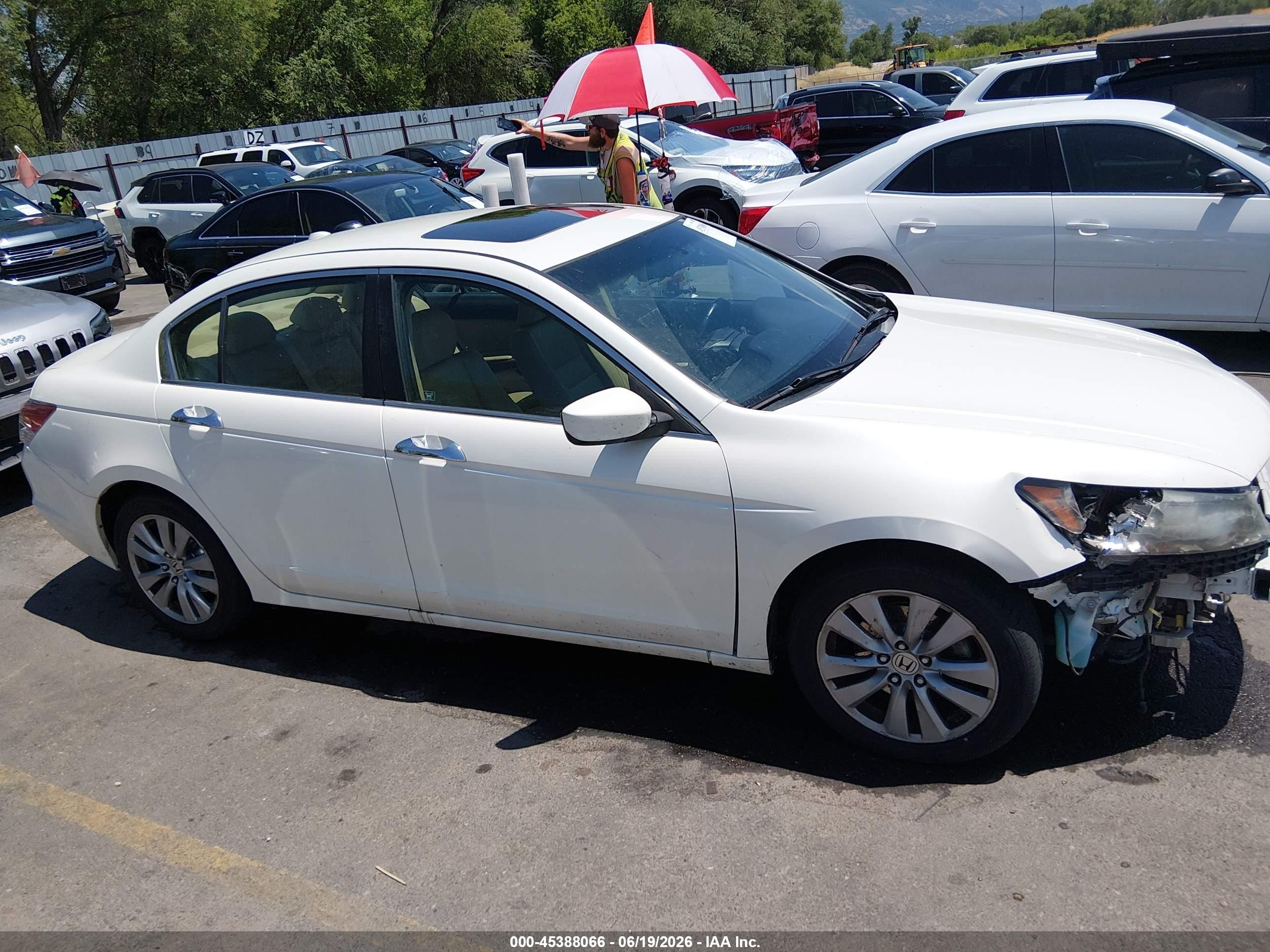 2011 Honda Accord 3.5 Ex-l White vin: 1HGCP3F8XBA001324