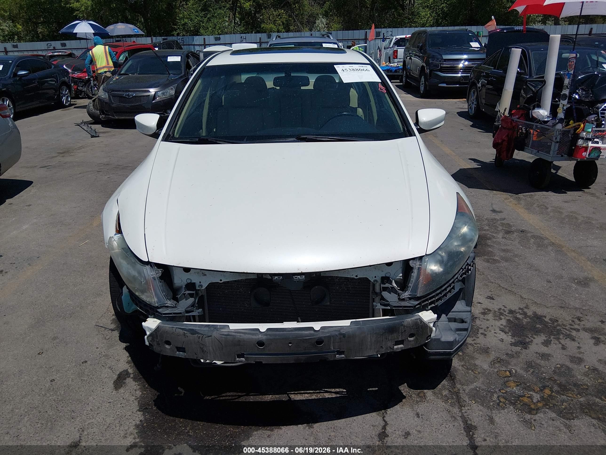 2011 Honda Accord 3.5 Ex-l White vin: 1HGCP3F8XBA001324