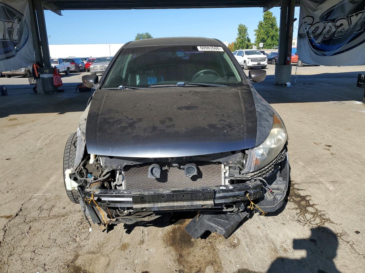 2011 Honda Accord Exl Gray vin: 1HGCP3F8XBA001839