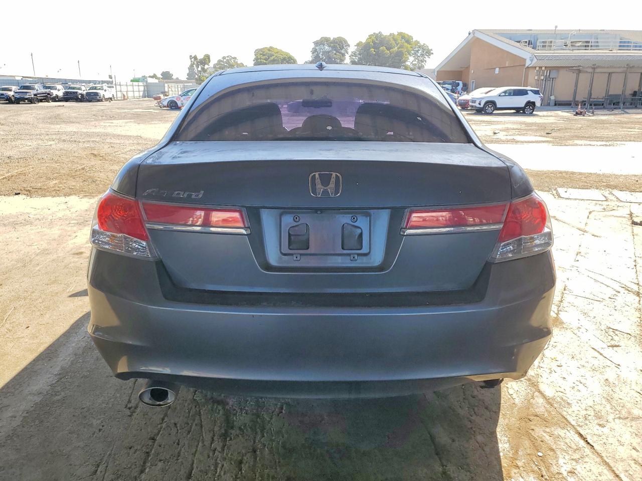 2011 Honda Accord Exl Gray vin: 1HGCP3F8XBA001839