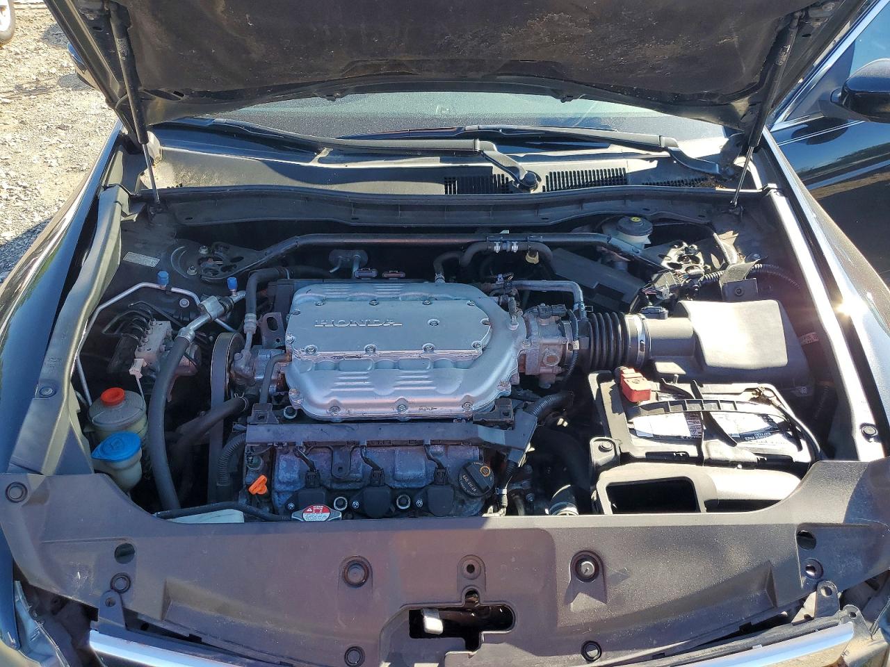 2011 Honda Accord Exl Black vin: 1HGCP3F8XBA006801