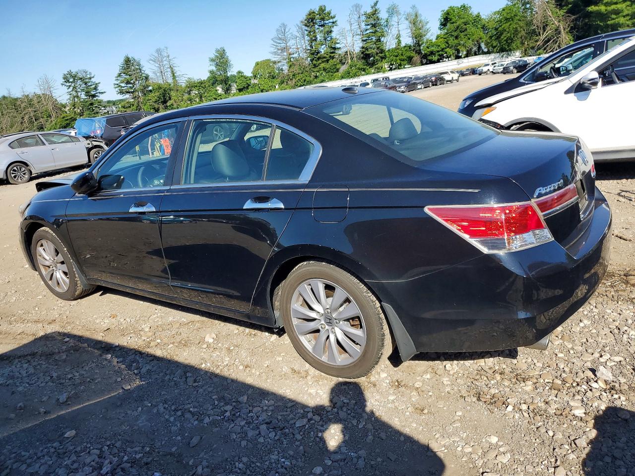 2011 Honda Accord Exl Black vin: 1HGCP3F8XBA006801