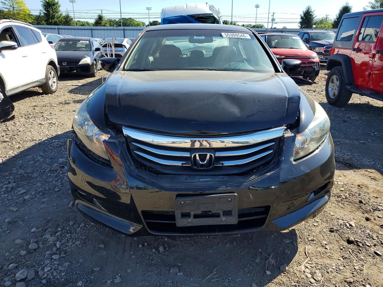 2011 Honda Accord Exl Black vin: 1HGCP3F8XBA006801
