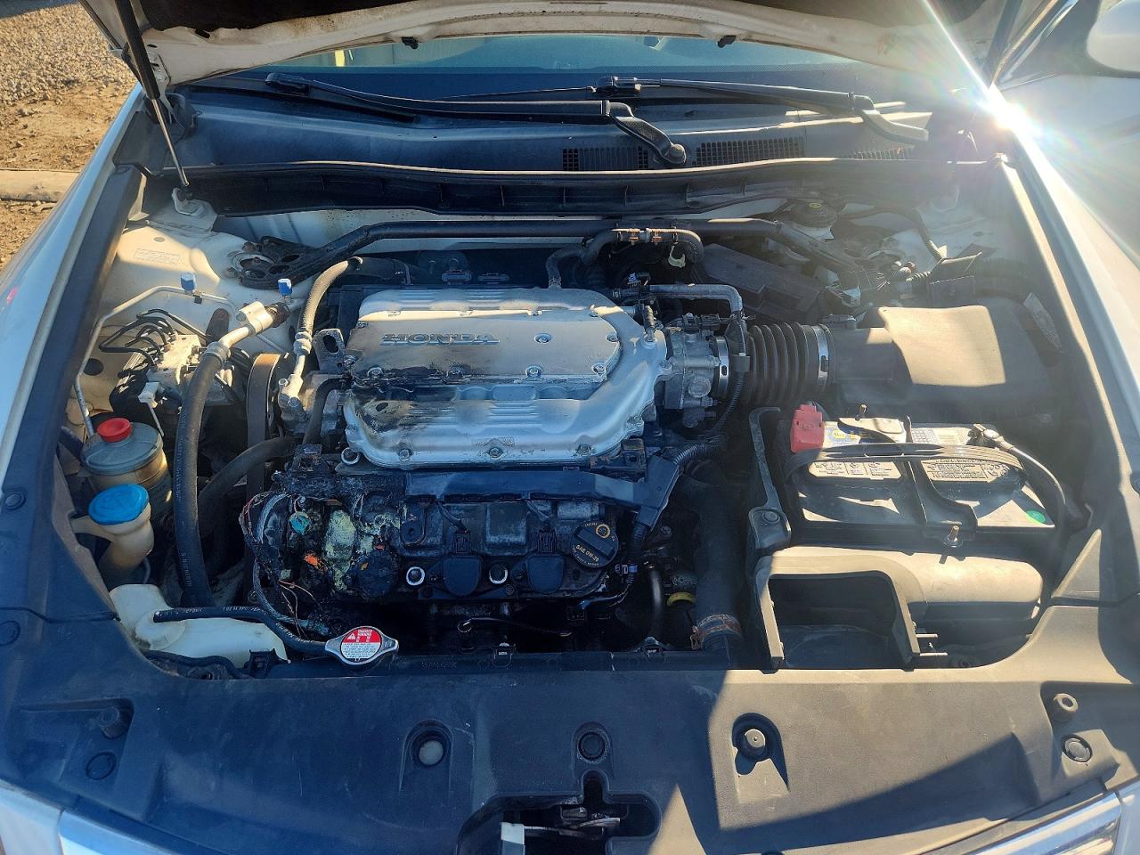2012 Honda Accord Exl White vin: 1HGCP3F8XCA001650