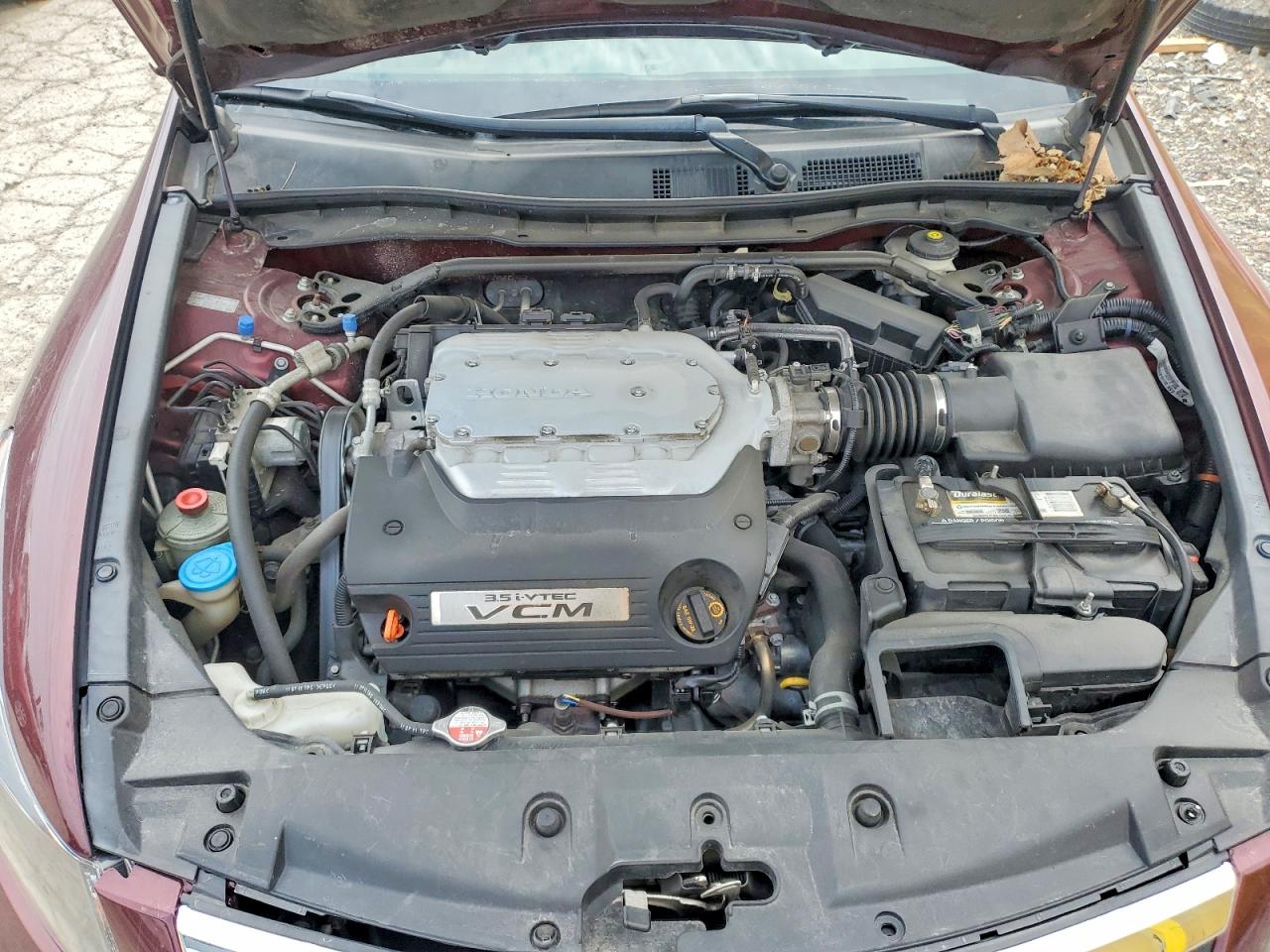 2012 Honda Accord Exl Burgundy vin: 1HGCP3F8XCA014463