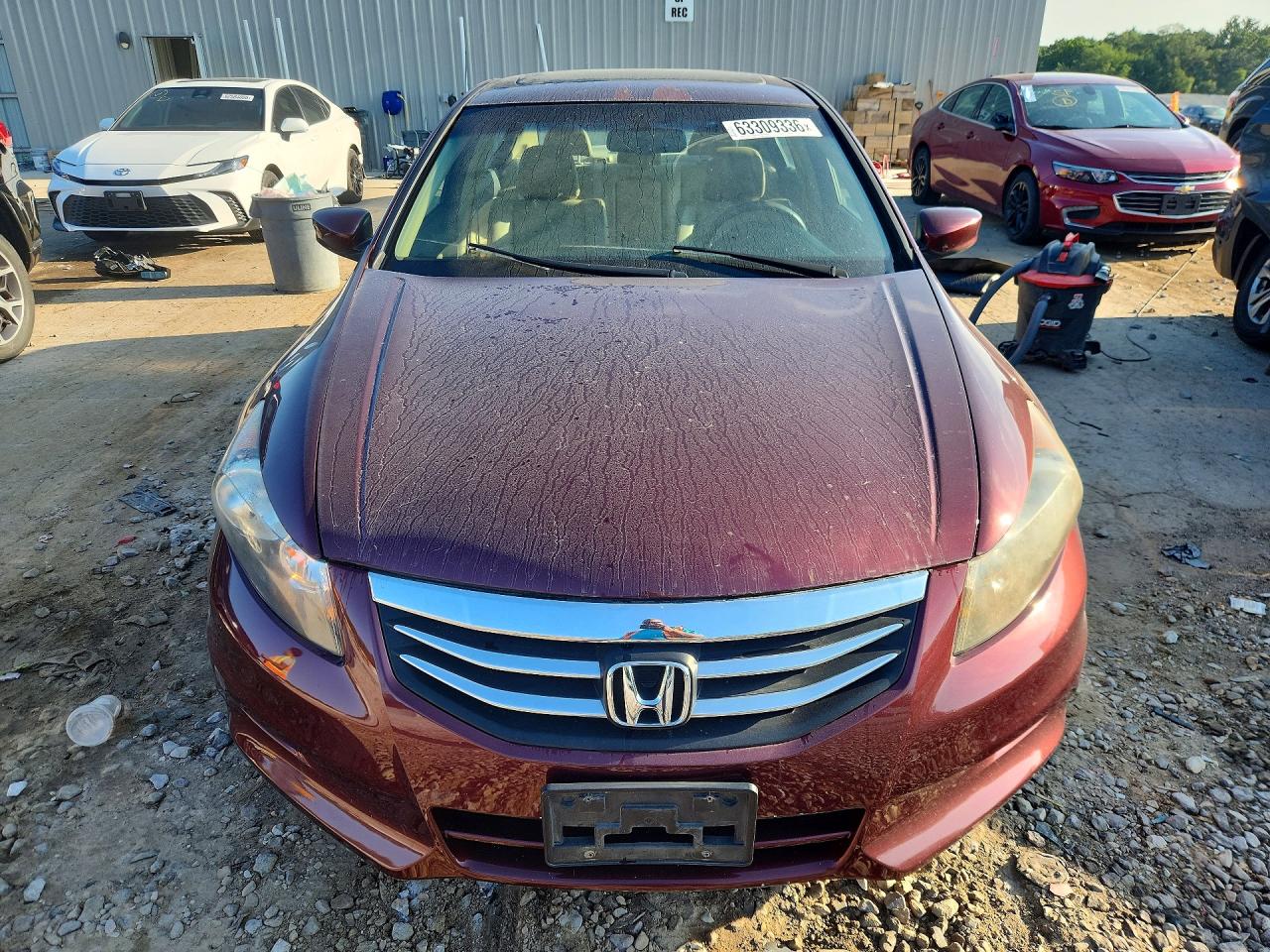 2012 Honda Accord Exl Burgundy vin: 1HGCP3F8XCA028153