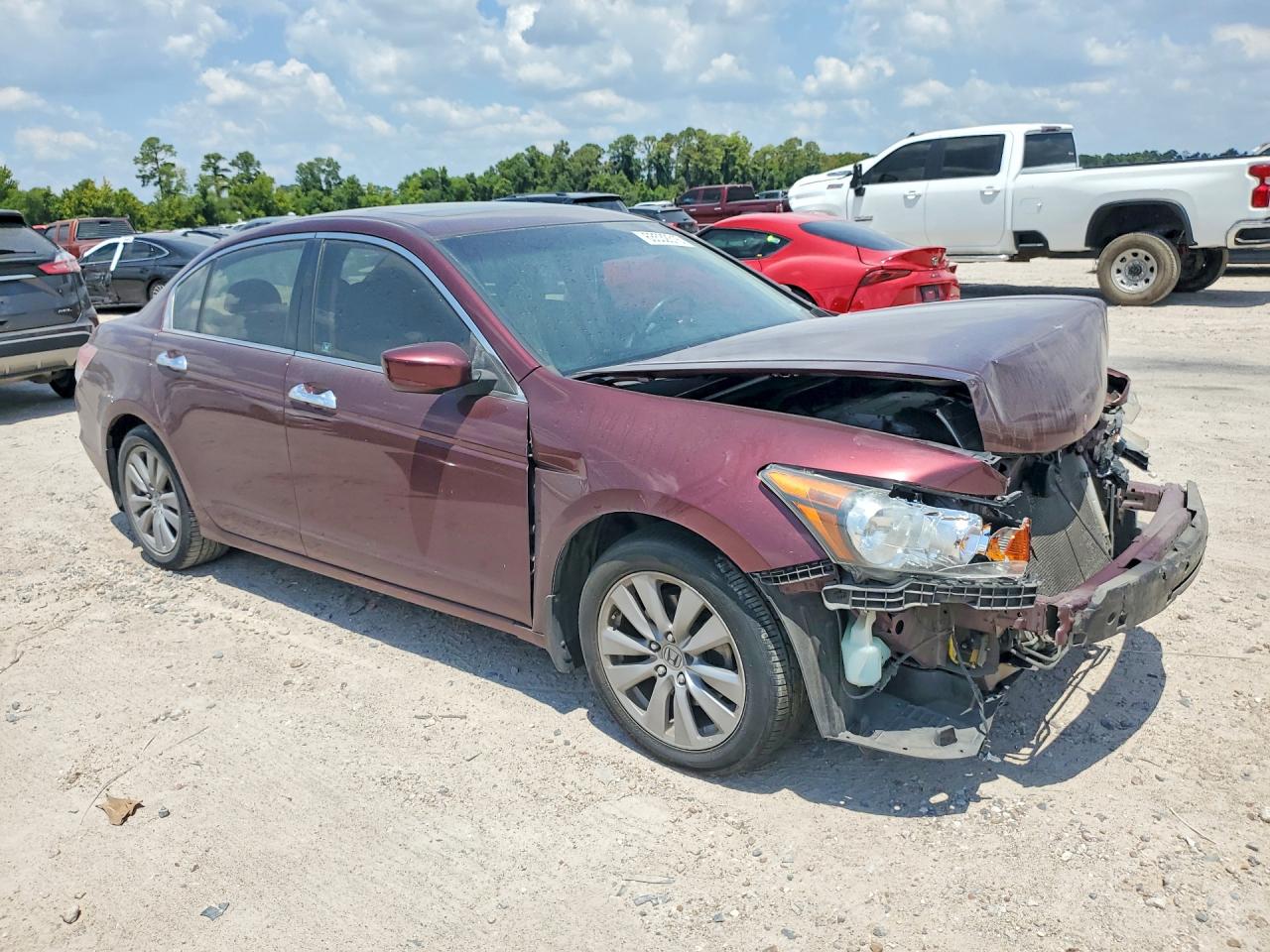 2012 Honda Accord Exl Maroon vin: 1HGCP3F8XCA036270