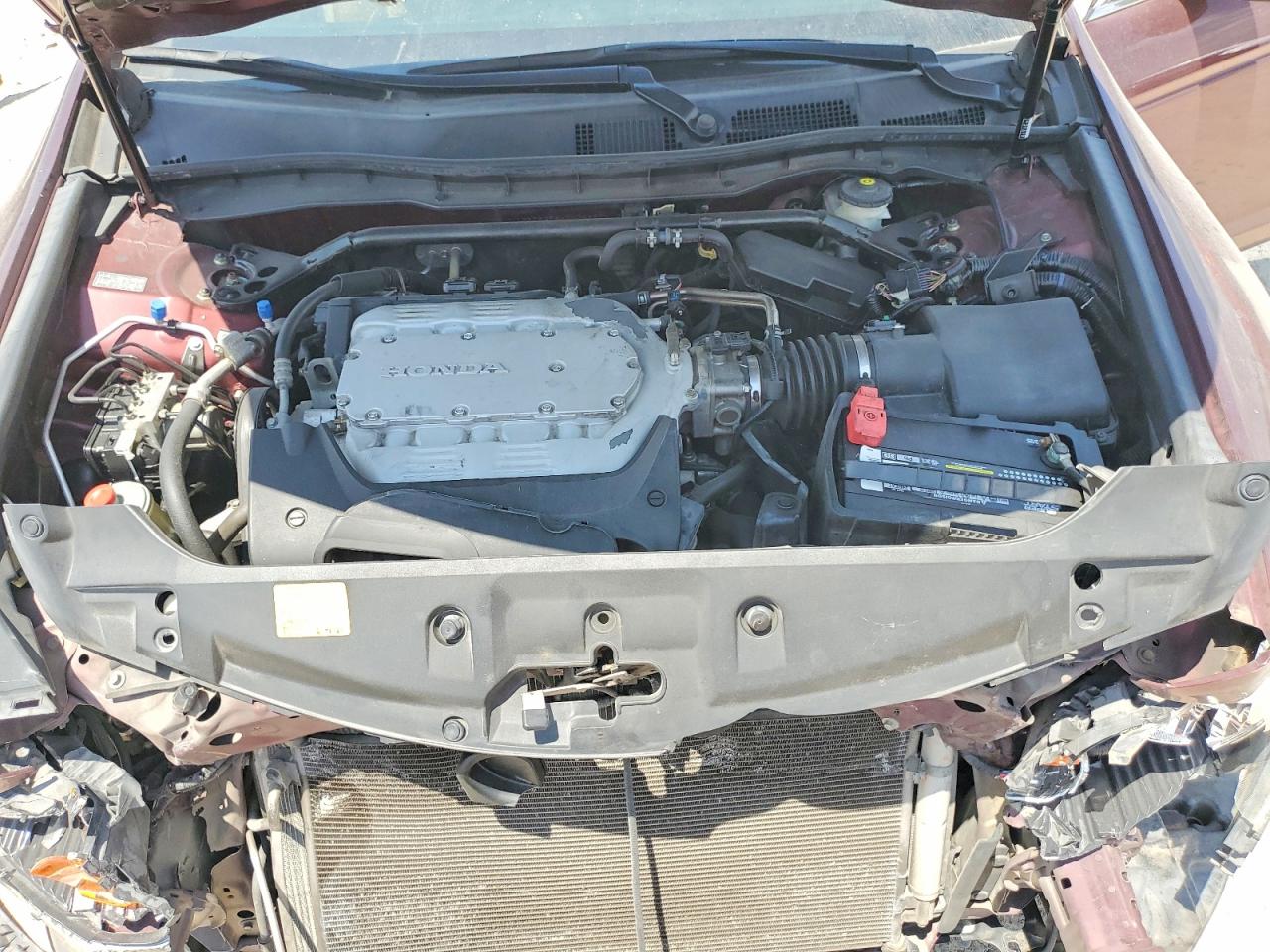 2012 Honda Accord Exl Maroon vin: 1HGCP3F8XCA036270