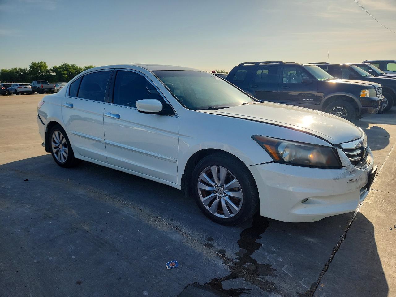 2012 Honda Accord Exl White vin: 1HGCP3F8XCA041744