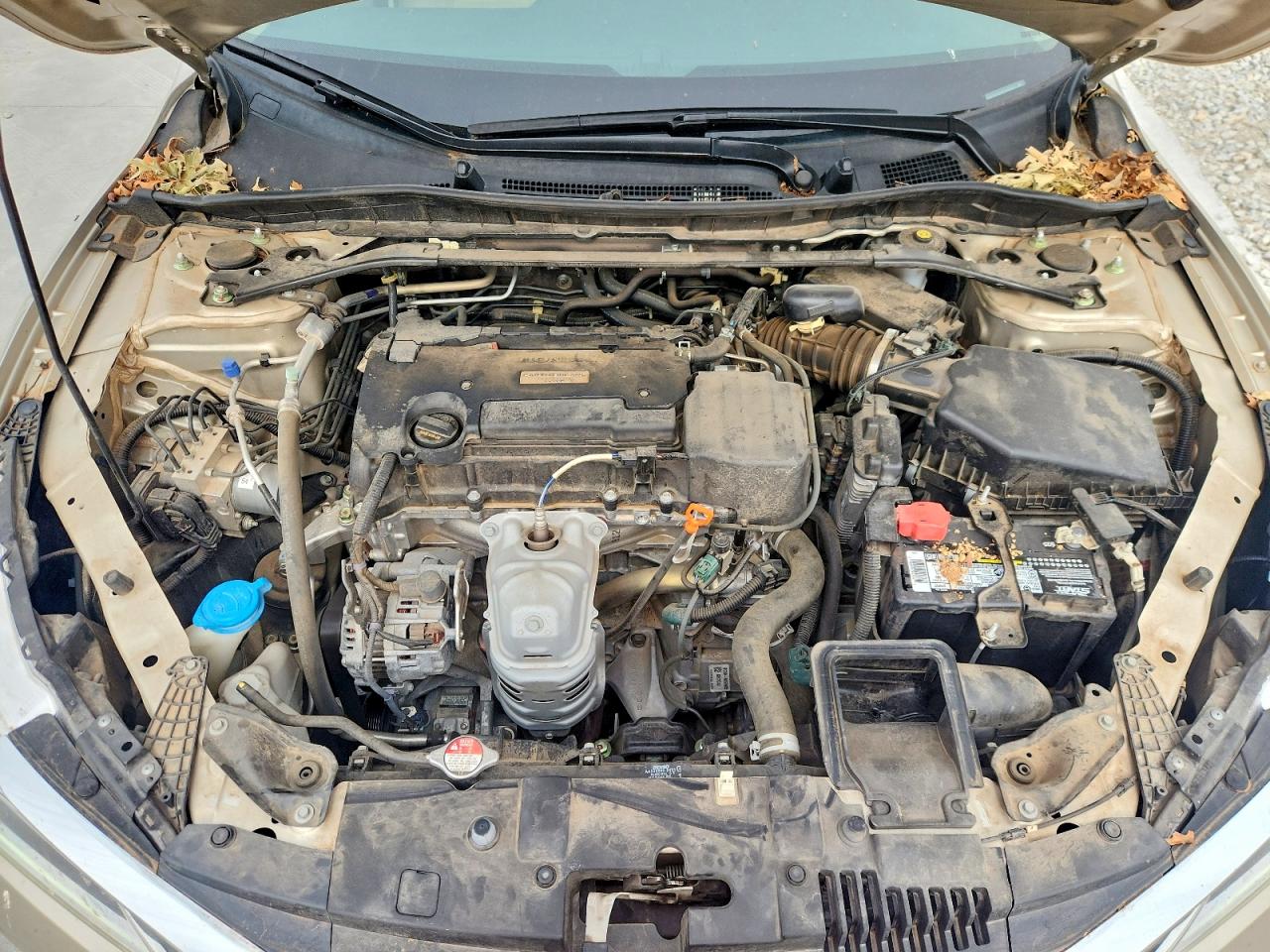 2016 Honda Accord Ex Tan vin: 1HGCR2F09GA226386