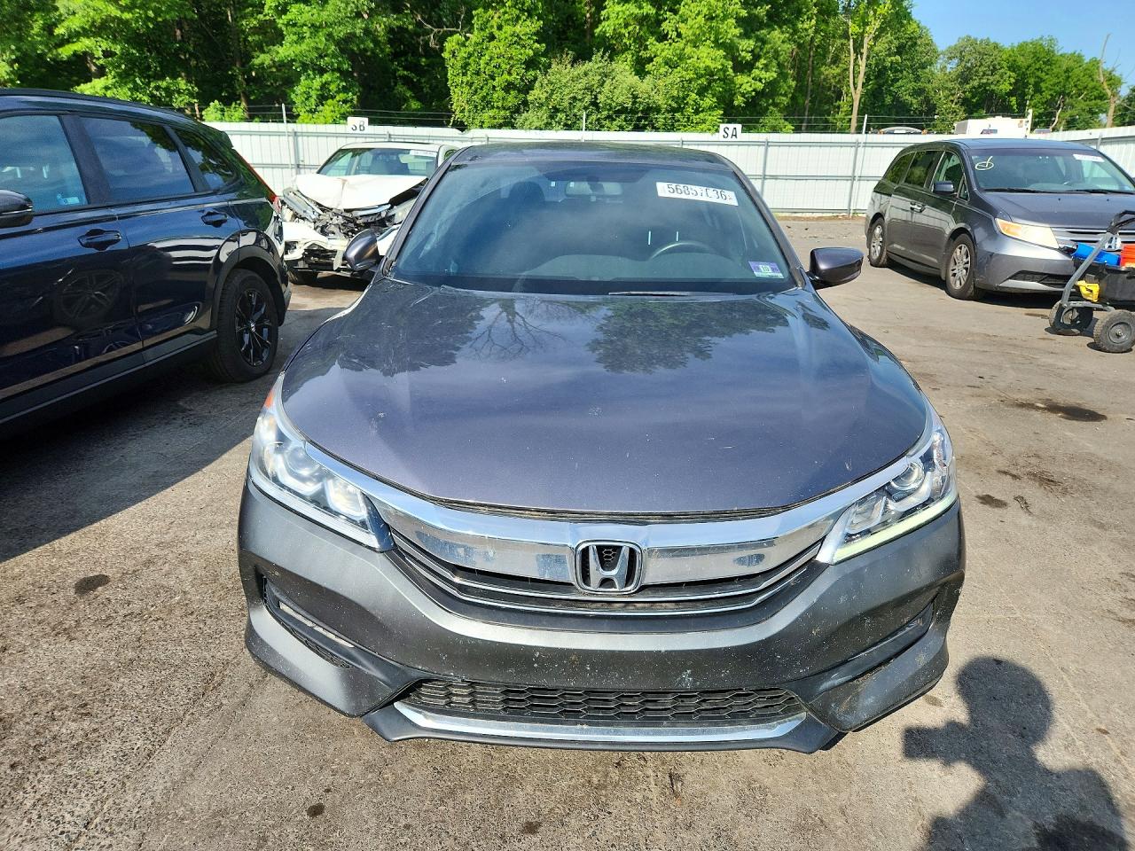 2017 Honda Accord Sport Special Edition Gray vin: 1HGCR2F11HA199677