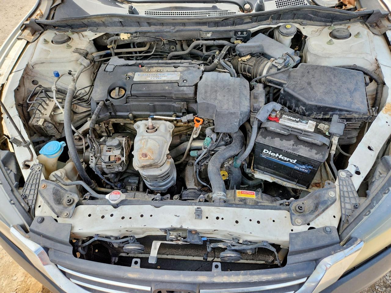 2013 Honda Accord Белый vin: 1HGCR2F30DA096388