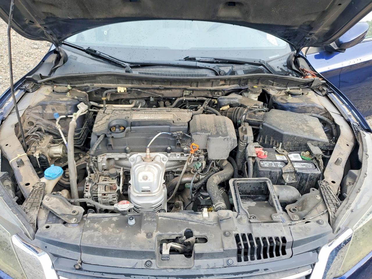 2013 Honda Accord Lx Blue vin: 1HGCR2F31DA074769