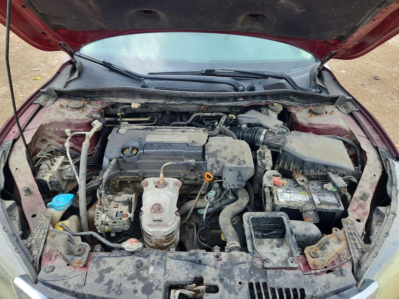 2013 Honda Accord Lx Maroon vin: 1HGCR2F31DA108435