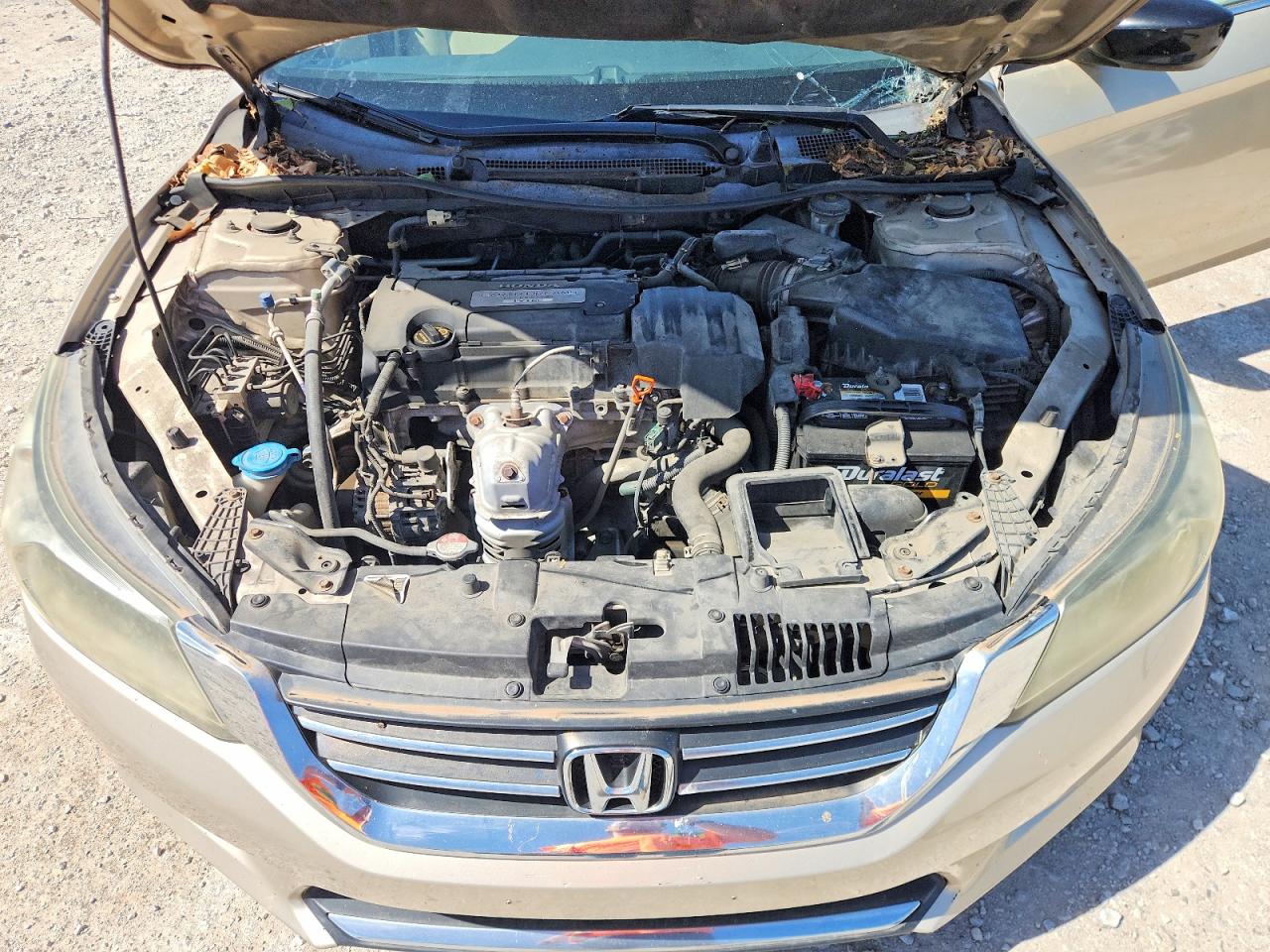 2013 Honda Accord Lx Gold vin: 1HGCR2F31DA147669