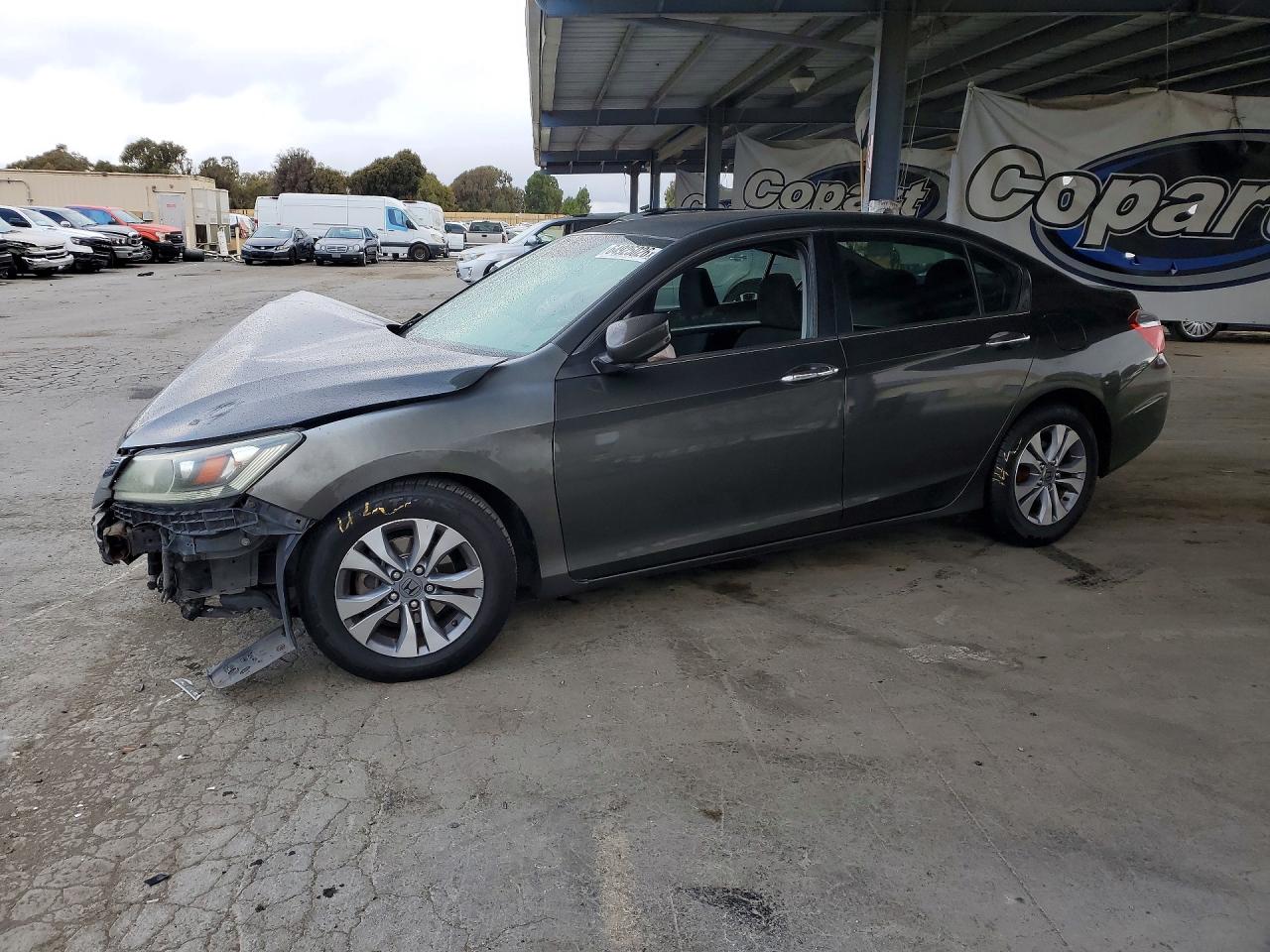 2013 Honda Accord Lx Gray vin: 1HGCR2F31DA186424