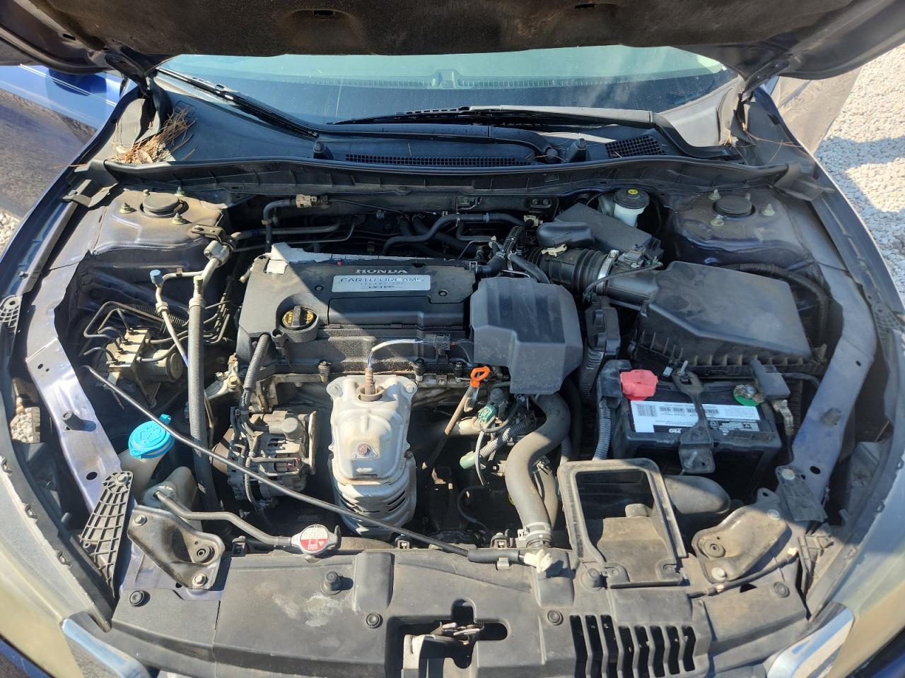 2013 Honda Accord Lx Blue vin: 1HGCR2F32DA205840