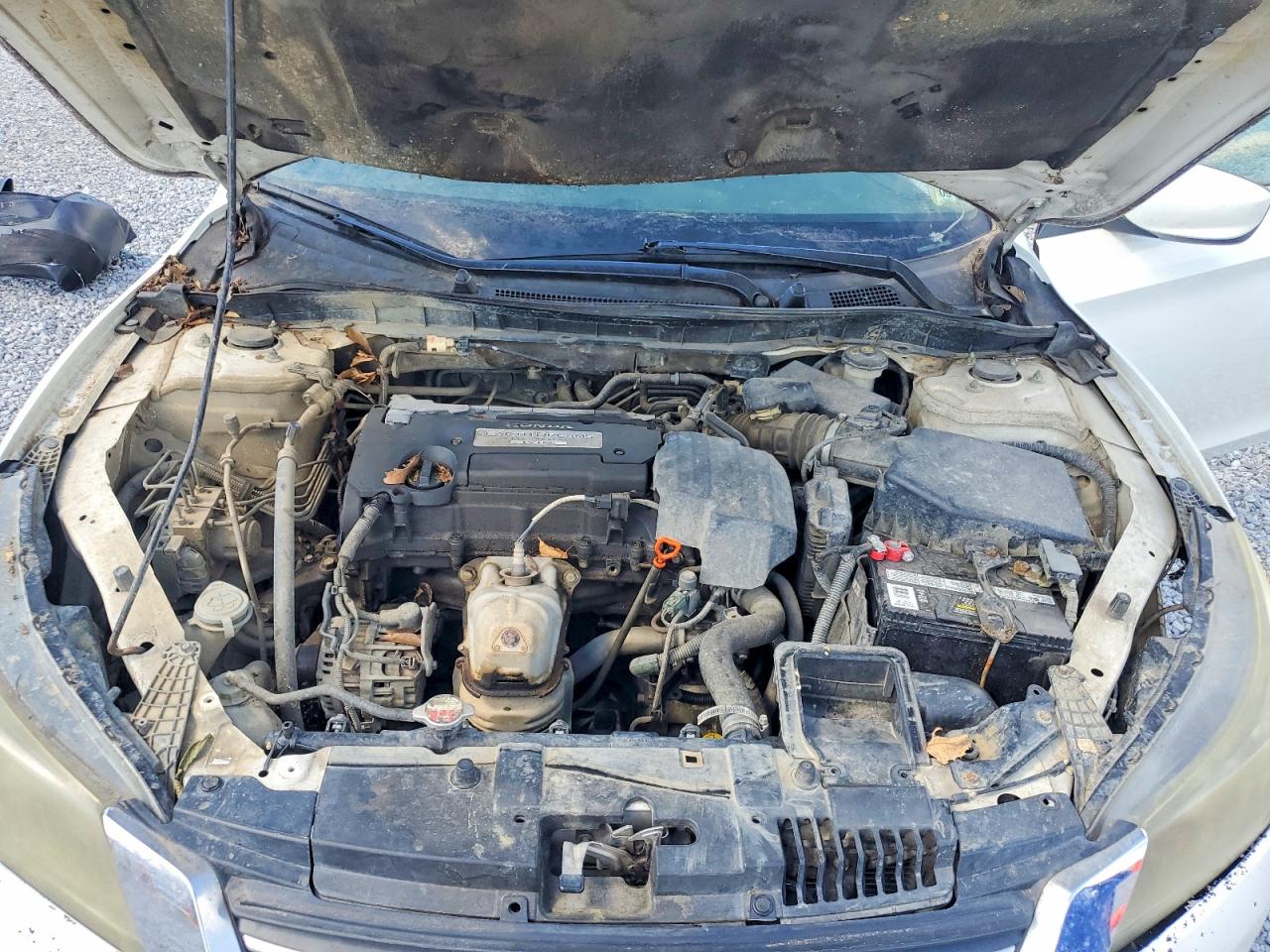 2013 Honda Accord Lx White vin: 1HGCR2F32DA232021