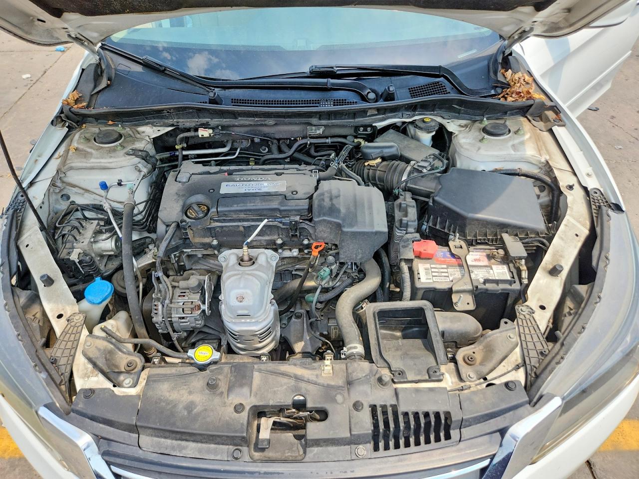 2013 Honda Accord Lx White vin: 1HGCR2F32DA262541