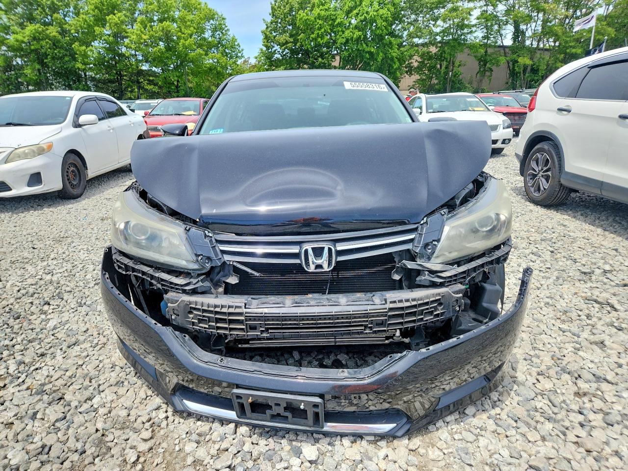 2014 Honda Accord Lx Black vin: 1HGCR2F32EA285559